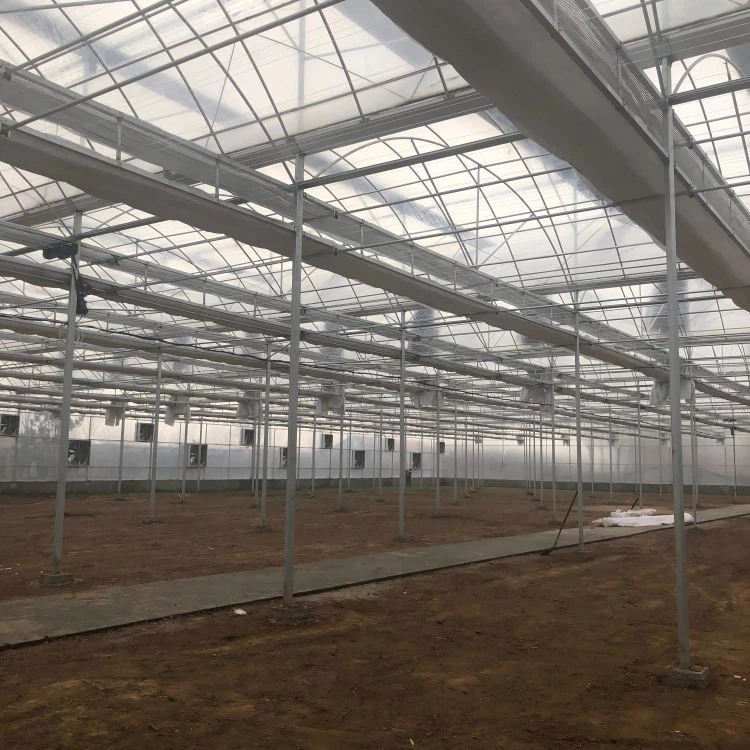 Steel Frame Polytunnel